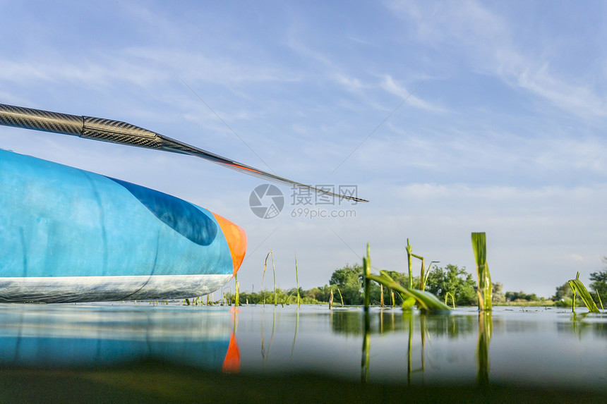 在科罗拉多的夏日风景中低角视图起立在平静的湖上划桨板图片