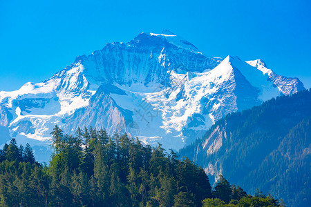 从瑞士伯尔尼高地重要旅游中心因特拉肯所看到的丛林山图片