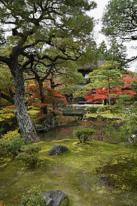 日本京都秋天时银井二殿的美丽落颜色高清图片