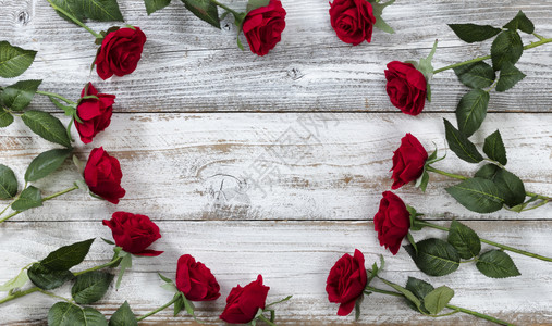 情人节快乐红玫瑰在白锈木上心胸结晶图片