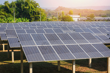 电池领域太阳能农场电池板与绿树和阳光照明的太能电池板视图反映太阳能电池或可再生源概念背景