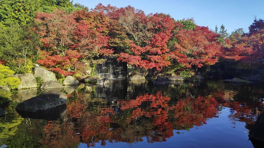 Kokoen是位于喜梅吉城堡旁边的日本花园图片
