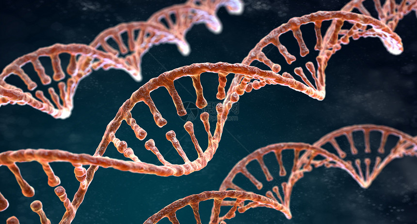 黑暗背景上的DNA螺旋链图片
