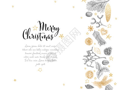 矢量老手画圣诞卡具有各种季节形状姜面包寄生虫锥坚果背景图片