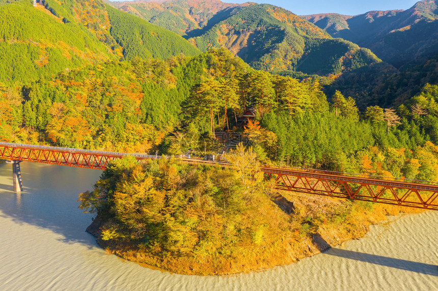 横渡长谷川铁路的蒸汽列车空中观察以在森林山丘和秋季蓝河的红落叶进行站岗日本静冈的红桥图片