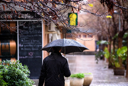 黑色猫咪雨伞在雨天走来去用雨伞遮盖着自己从恶劣的天气背景