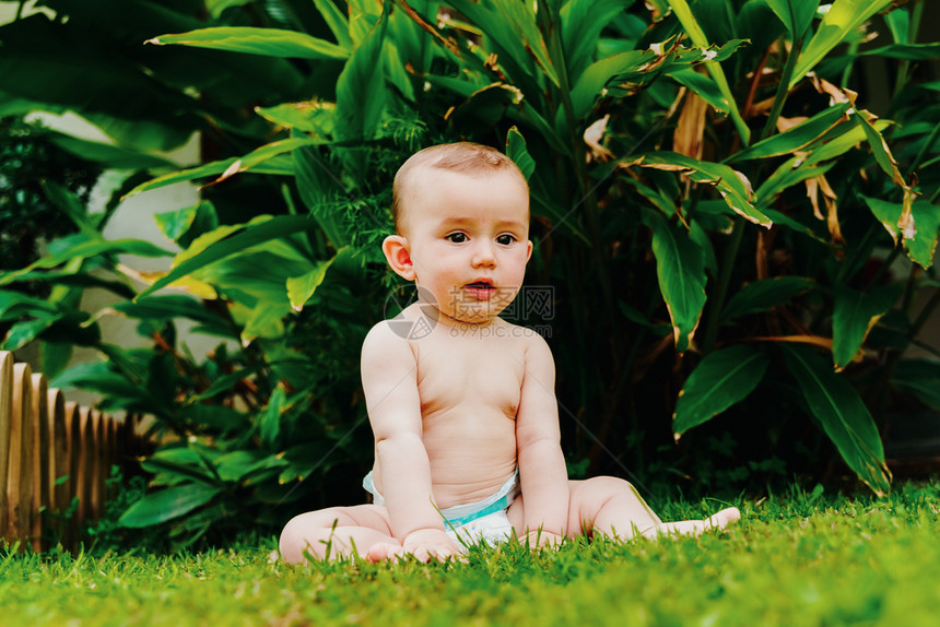 穿尿布的婴儿坐在草地上图片