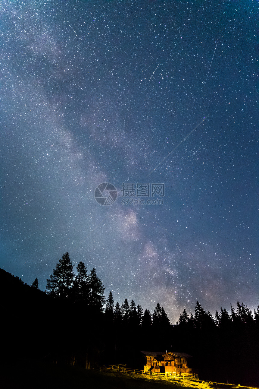 夜里闪的银色树光影图片