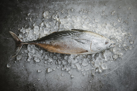 长尾金鱼东部小市场上冰新鲜鱼黑底生海鲜图片