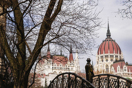 布达佩斯议会和其他官方建筑物的意见图片