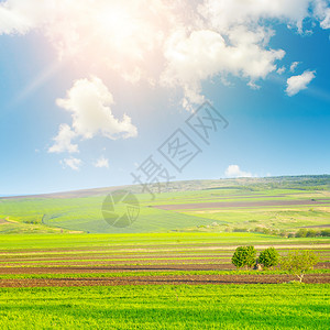 太阳在白云中与蓝天和绿地对立农业景观图片