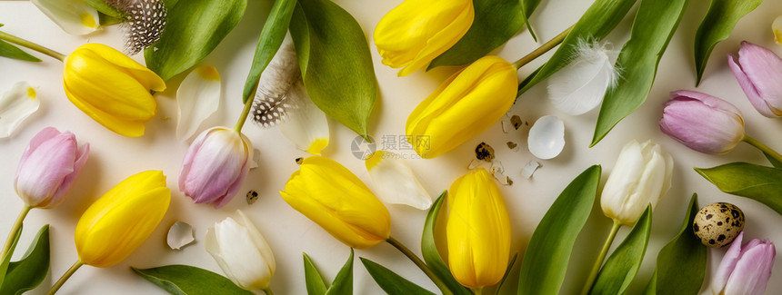 复活节花背景春季郁金香和各种鸡蛋末壳平地从上方查看图片