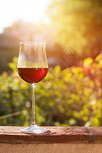 在意大利托斯卡尼喝杯红葡萄酒背景里有白葡萄酒场阳光图片