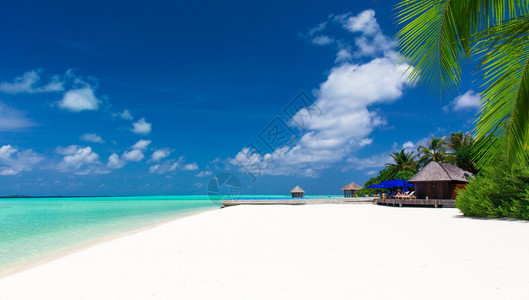美丽的海滩沙绿的海洋棕榈树蓝的天空云层夏季热带风景图片
