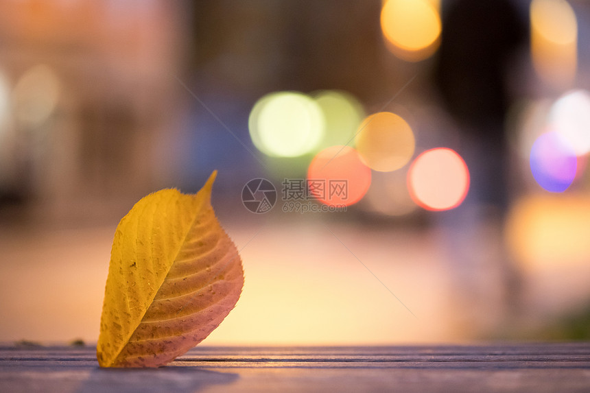 晚上秋天城市风景树丛在前中城市灯光在背景中图片