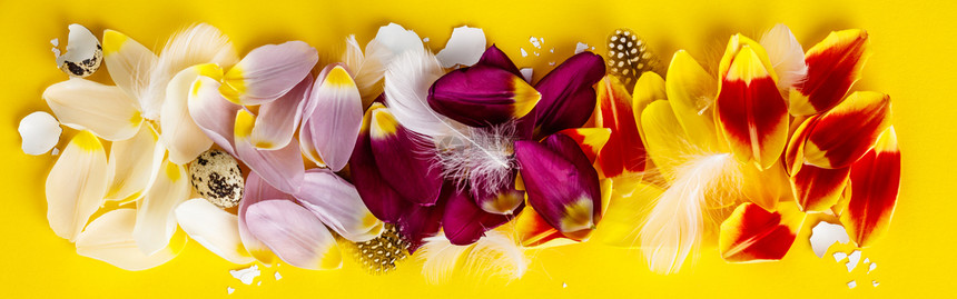 复活节的成分色彩多的郁金香花瓣羽毛和蛋壳平地图片