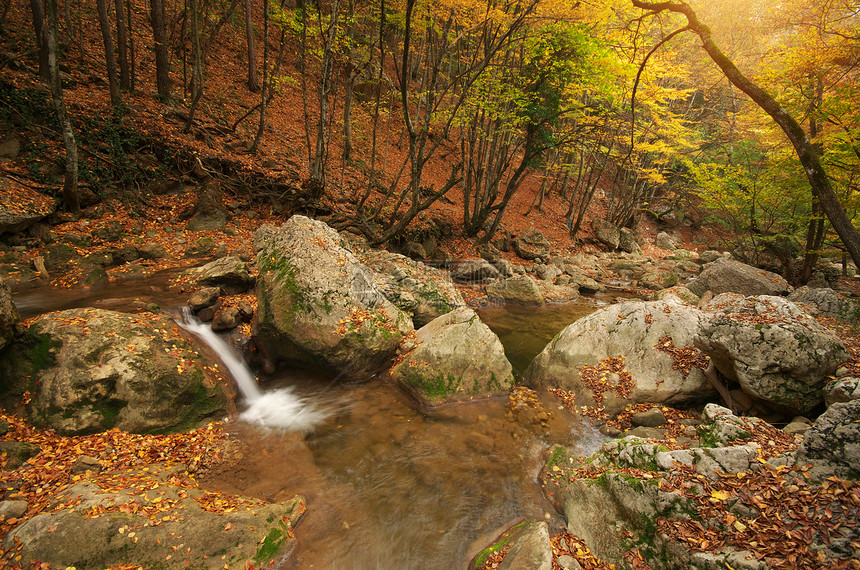 秋天风景自然的构成瀑布河流进入峡谷图片