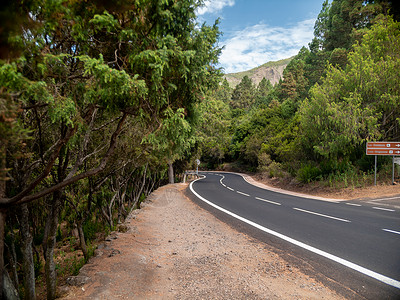 在卡纳里山脉的特夫岛通过劳雷尔森林前往高山的弯曲道路美丽照片图片