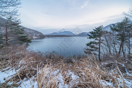 富士山五合目冬天斋子高清图片