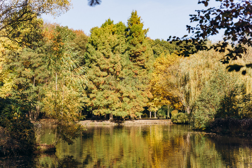 湖中树木的反射湖中美丽的风景秋天风景图片