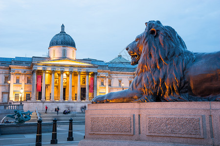 英国伦敦Trafalgar广场高清图片
