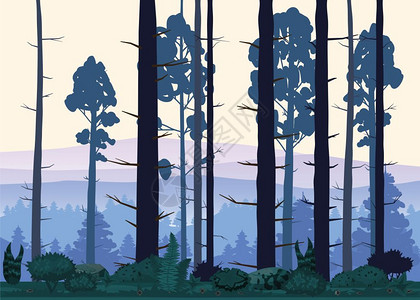 集水区森林树松木自然环境矢量图插画