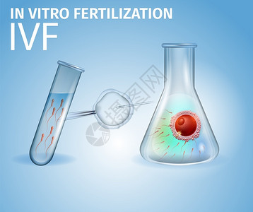 胚珠培育受精卵试验矢量设计模板插画