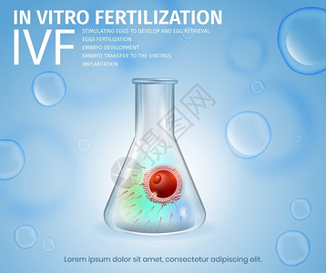 胚胎培育培育受精卵试验矢量设计模板插画