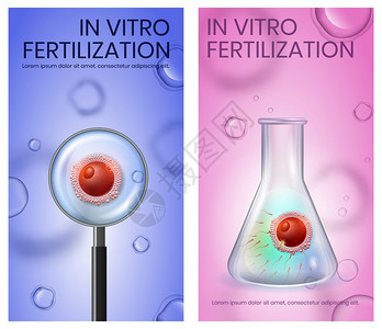试管精子试管内女卵子受精情况Spermatozons攻击女细胞放大镜矢量现实说明海报复制空间试管内女卵子受精情况插画