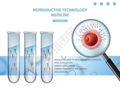 胚珠培育受精卵试验矢量设计模板插画