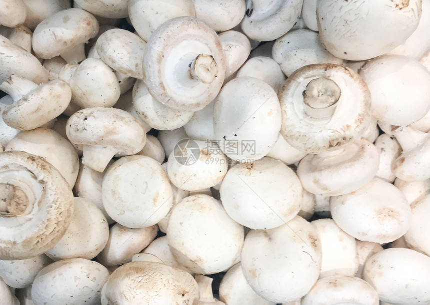 新鲜蘑菇香肠健康新鲜食物背景图片
