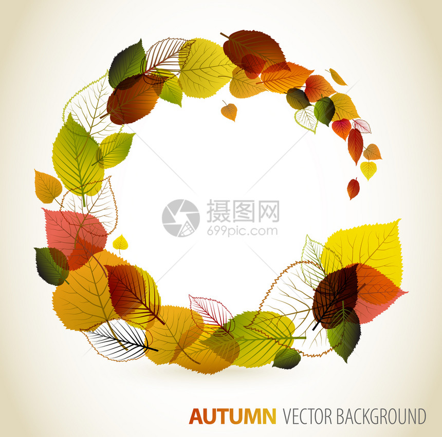 秋季抽象花岗背景由多彩叶组成的圆圈带有文本的位置图片