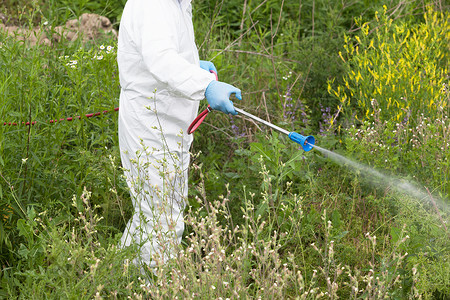 保护工作服人在杂草上喷洒除剂海热概念图片