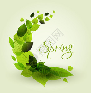 树叶地方新的春季抽象花卉背景绿叶的圆文本位置插画