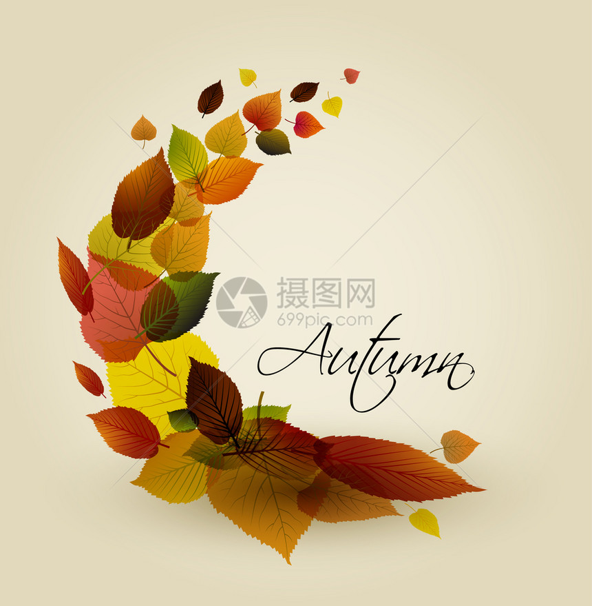 秋季抽象花岗背景由多彩叶组成的圆圈带有文本的位置图片