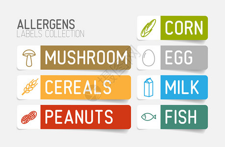 为过活原牛奶鱼蛋谷浆小麦坚果乳甘油玉米蘑菇设定的矢量标签彩色版背景图片