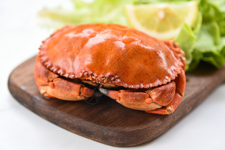 木制的海鲜蟹肉煮蒸汽或柠檬和生菜沙拉蔬煮在一家餐馆新鲜海石蟹的木板上背景