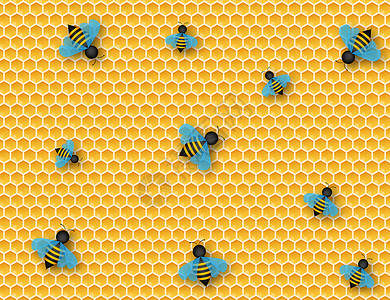 六边形天然蜂蜜结构昆虫和蜂蜜矢量说明图片