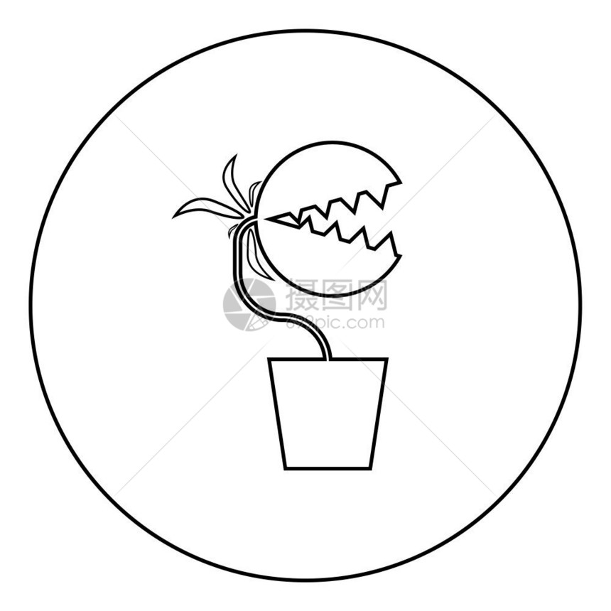 黑色圆形食人花图案矢量插图图片