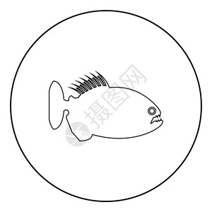 线条食人鱼图标图片