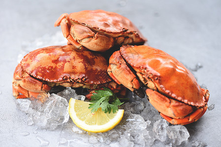 冰上海鲜冰上新鲜螃蟹柠檬上新鲜螃蟹沙拉上新鲜螃蟹盘底煮海鲜背景