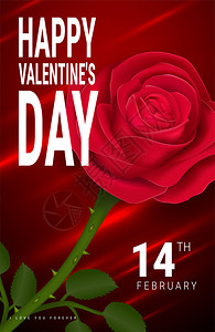 红色背景玫瑰插图情人节贺卡模板图片