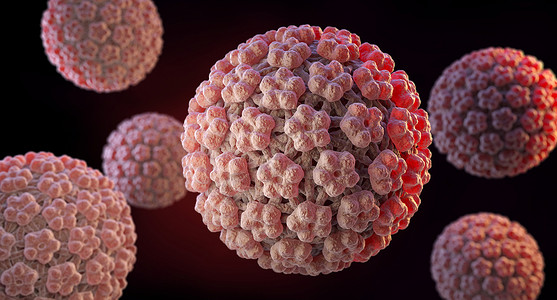 生殖器人类瘤病毒(HPV)是瘤病毒家族的DNA病毒。背景