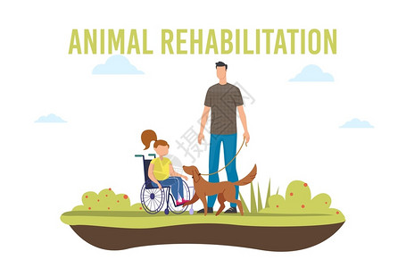 抚摸宠物残疾受伤儿童在轮椅上插画