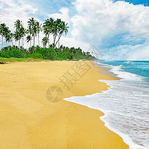 蓝色天空和黄沙的海景图片