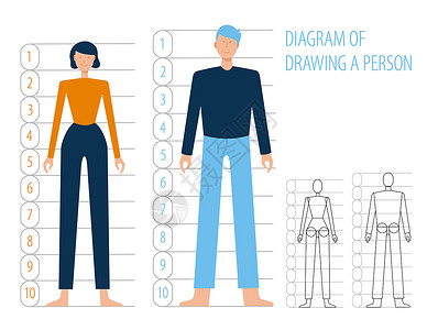 人的身体解剖男人和女建造绘制平坦的人化卡通矢量计划身体结构全面成长图片