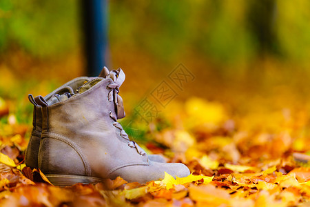 橙色金叶上的灰鞋靴秋天时装收藏的鞋带靴子灰色秋日鞋图片