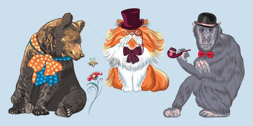 一群嬉皮动物戴碗帽的猴子和烟管弓领带戴熊帽子眼镜和领结的红毛色波斯猫图片