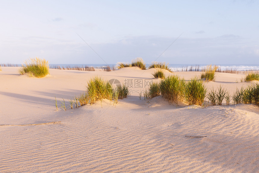 清晨阳光明媚的沙丘和海洋美丽的夏季风景和海洋图片