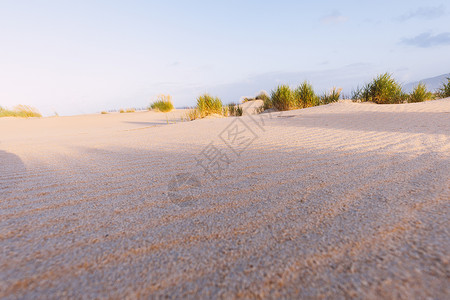 清晨阳光明媚的沙丘和海洋美丽的夏季风景和海洋高清图片